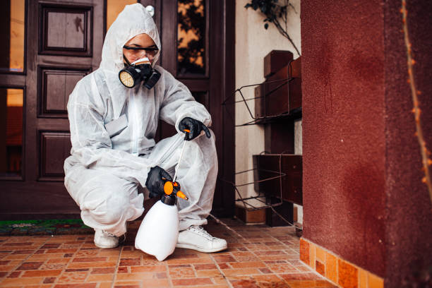 Reliable Cockroach Control contractor in Shallowater, TX by Nex Pest Control